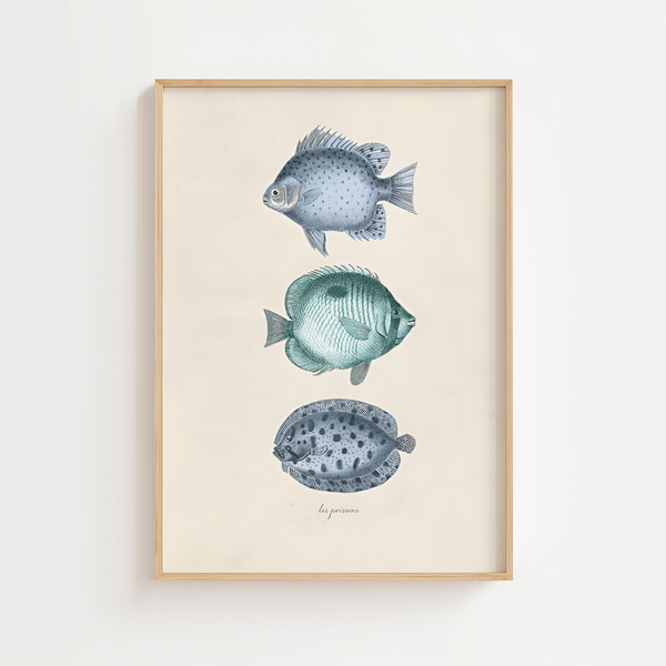 Vintage fiskeplakat med tre blå fisk på lys baggrund i naturtræsramme – perfekt som havplakat eller badeværelsesdekoration.
