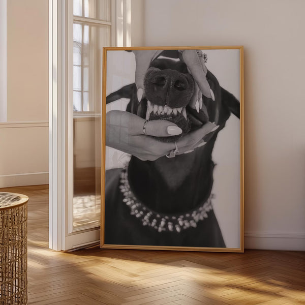 Diamond Bite – Fashion plakat med doberman, smykker og rå attitude i sort/hvid