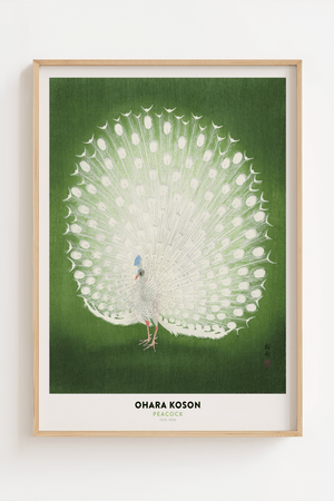 Ohara Koson Peacock Plakat