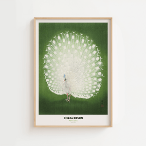 Ohara Koson Peacock Plakat 