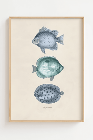 Vintage fiskeplakat med tre blå fisk på lys baggrund i naturtræsramme – perfekt som havplakat eller badeværelsesdekoration.

