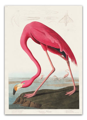 Giv din indretning et eksotisk og farverigt løft med vores Flamingo Life Plakat