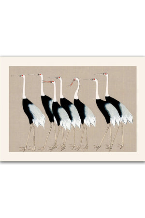 Syv Storke Grå Plakat