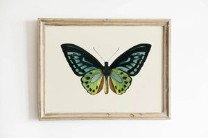 Skab en let og naturlig atmosfære i dit hjem med vores Butterfly Plakat