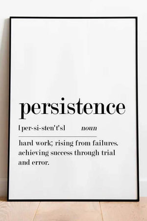 Persistence Definition Ellens Shop