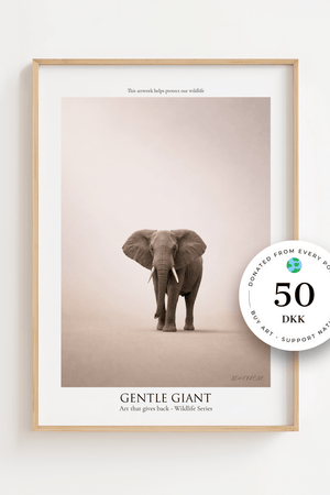 Gentle Giant - Wildlife Series