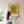 Sunflowers plakat 1889 – Van Gogh solsikker kunstplakat