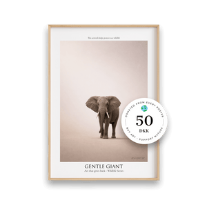 Gentle Giant - Wildlife Series