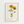 Coreopsis blomst plakat med gul botanisk illustration og grønne blade