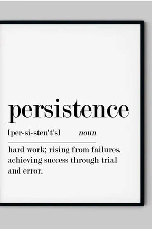 Persistence Definition Ellens Shop