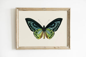 Skab en let og naturlig atmosfære i dit hjem med vores Butterfly Plakat