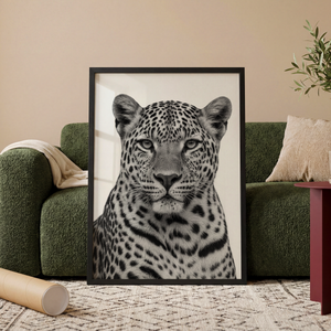 Leopard Portrait Plakat