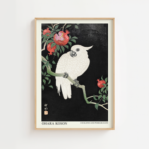 Kakadu med granatæble plakat i japansk træsnitsstil med hvid fugl