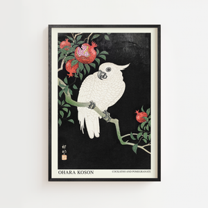 Kakadu med granatæble plakat i japansk træsnitsstil med hvid fugl, sort ramme