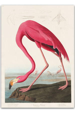 Giv din indretning et eksotisk og farverigt løft med vores Flamingo Life Plakat