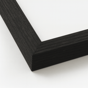 Sort træramme med mat finish og plexiglas – elegant billedramme til plakater, billeder og fotos, perfekt til både farverige og minimalistiske motiver.