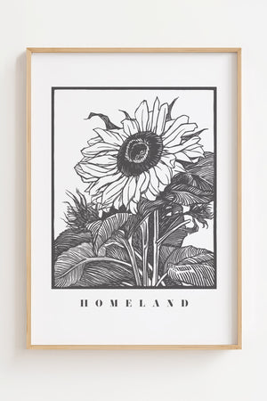 Solsikke Homeland plakat med grafisk blomstermotiv i sort hvid