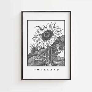 Solsikke Homeland plakat med grafisk blomstermotiv i sort hvid, sort ramme
